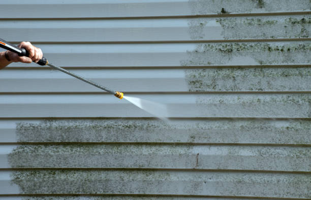Home Mold Removal in Newton, MA