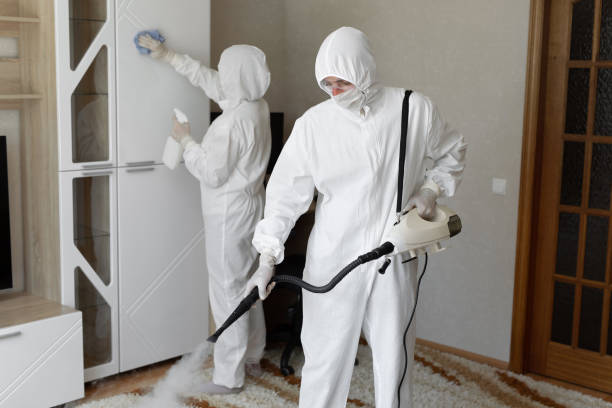 Best Home Mold Removal  in Newton, MA